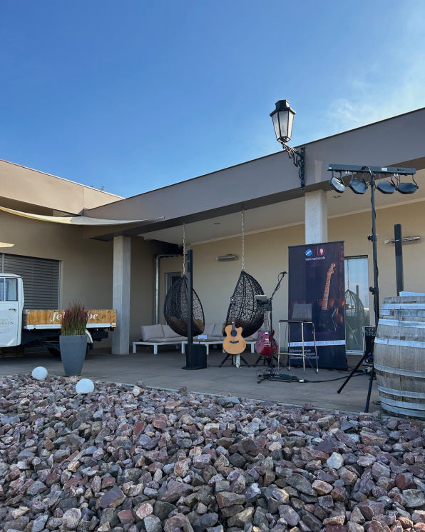 Max Trieß, Gitarrist und Sänger für Hochzeiten, Sektempfang